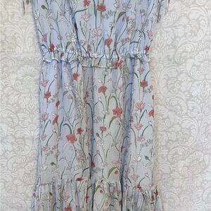 Banana Republic Floral Dress in Blue and Pink